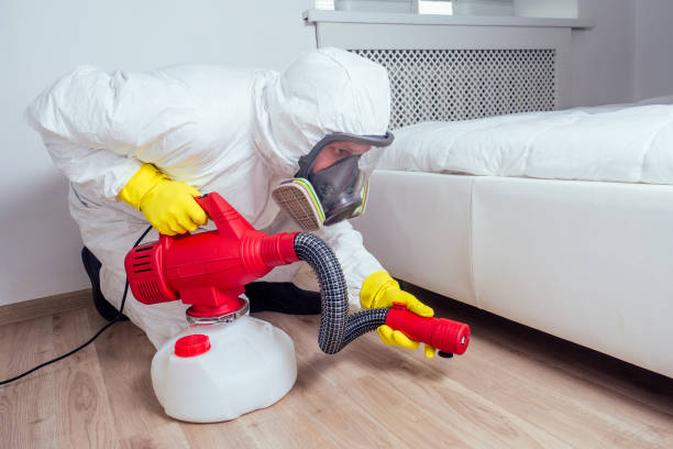 Emergency Pest Control Services in Lockeford, CA